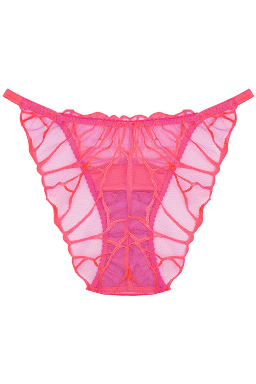 Cleo Brief