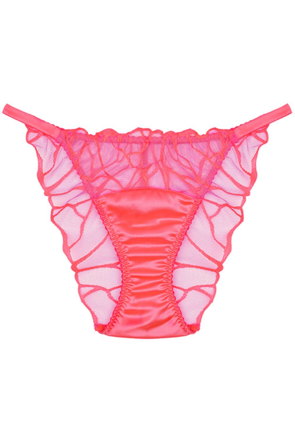 Cleo Brief