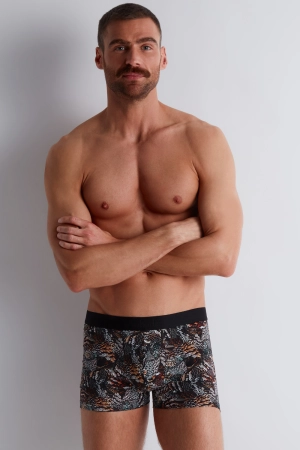 Homme Men's Modal Cotton Owls Boxer