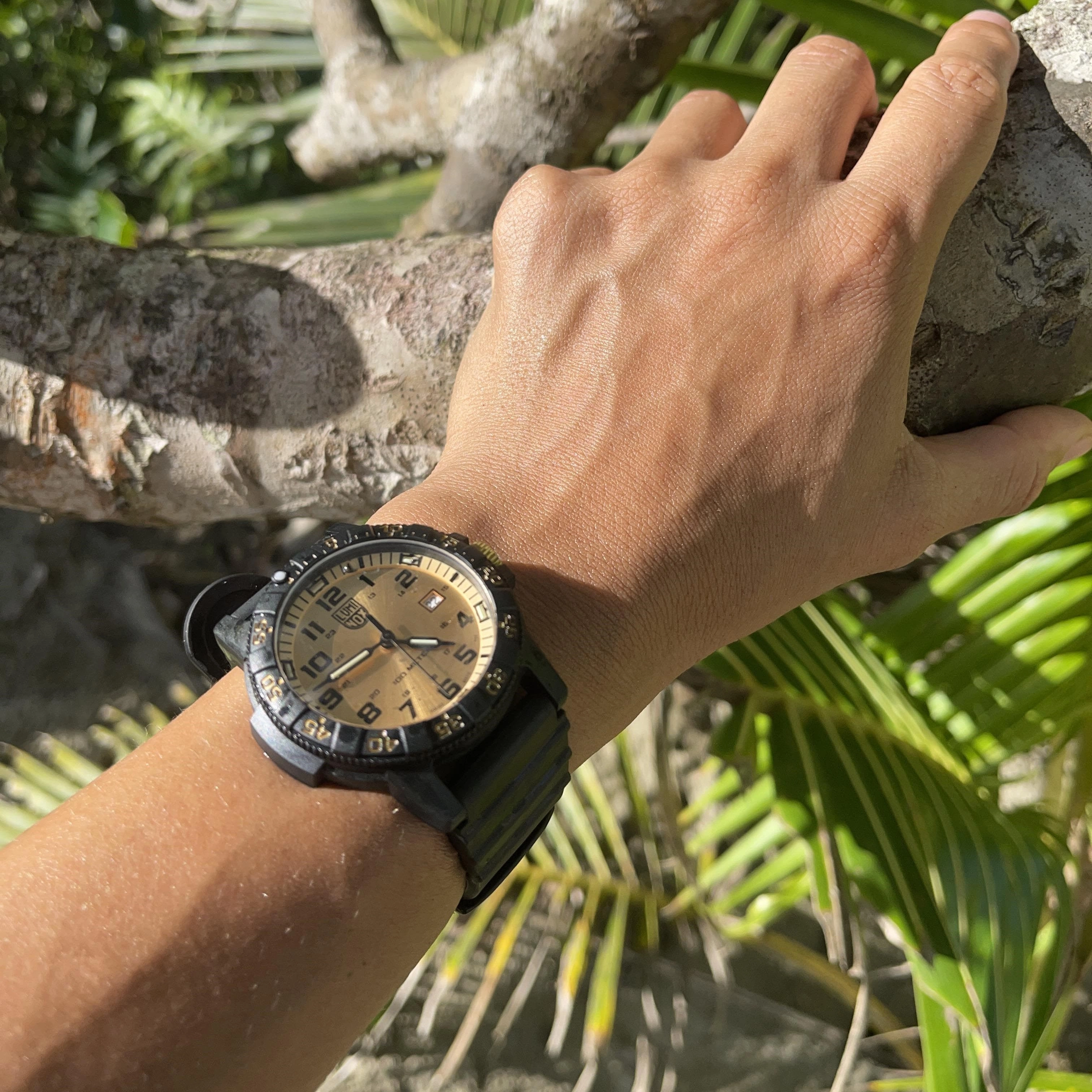 Leatherback SEA Turtle Giant, 44mm, Outdoor watch - 0325.GP