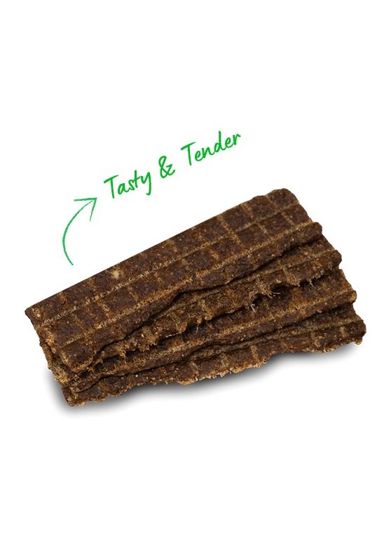 Open Farm Grain Free Jerky Strips Grass-Fed Beef Dog Treats