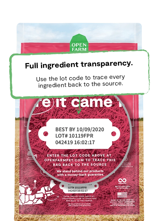 Open Farm Wild Caught Salmon & Ancient Grains Dry Dog Food