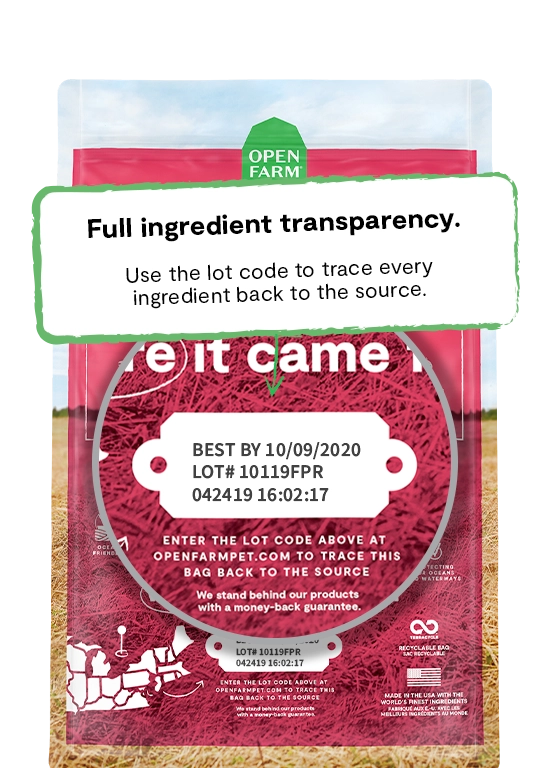 Open Farm Wild Caught Salmon & Ancient Grains Dry Dog Food