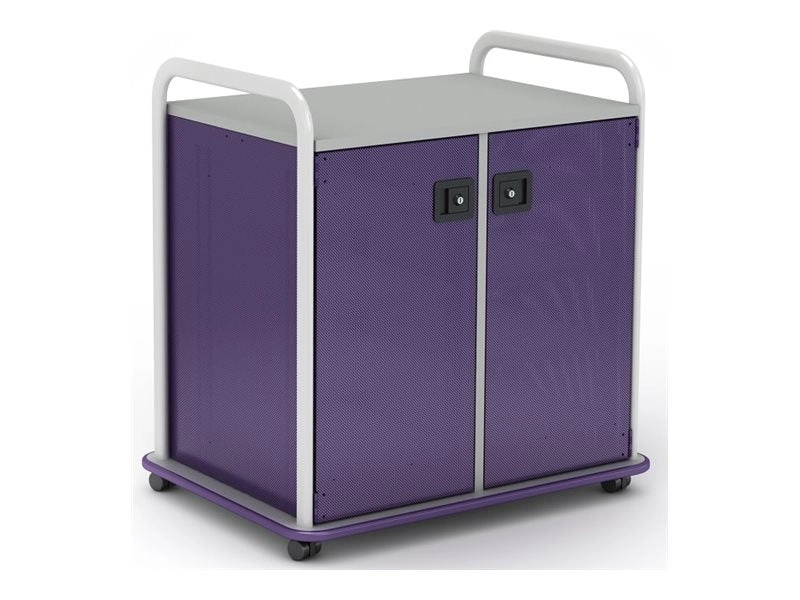 Paragon A&D Crossfit Storage - Trolley - 6 drawers - 4 shelves - 2 doors - 16 gauge tubular steel, TFM - frost, purple, wisdom CFD30WD17CO-918PZP