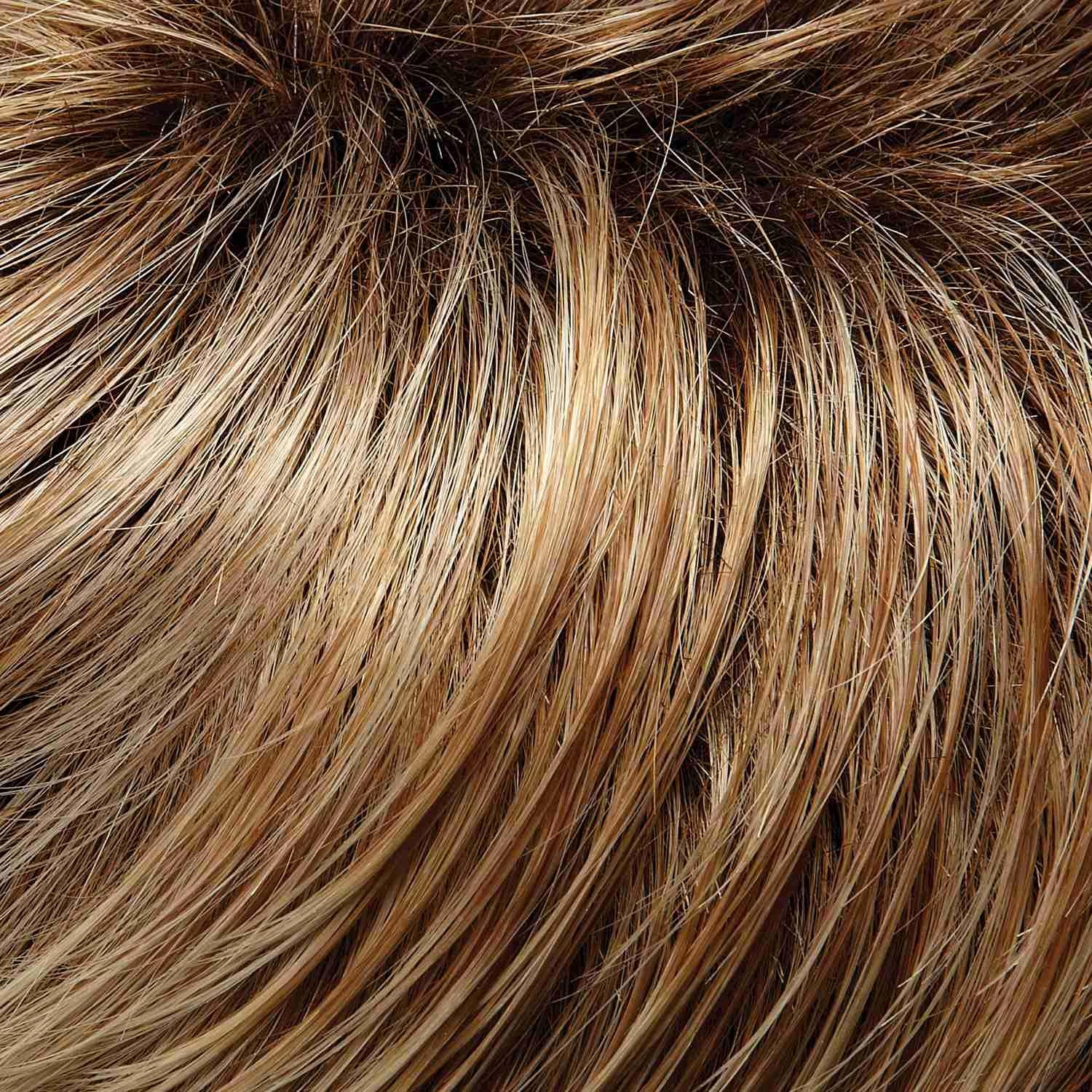 Petite Cameron Wig by Jon Renau | Synthetic (Lace Front 100% Hand Tied Mono Top)