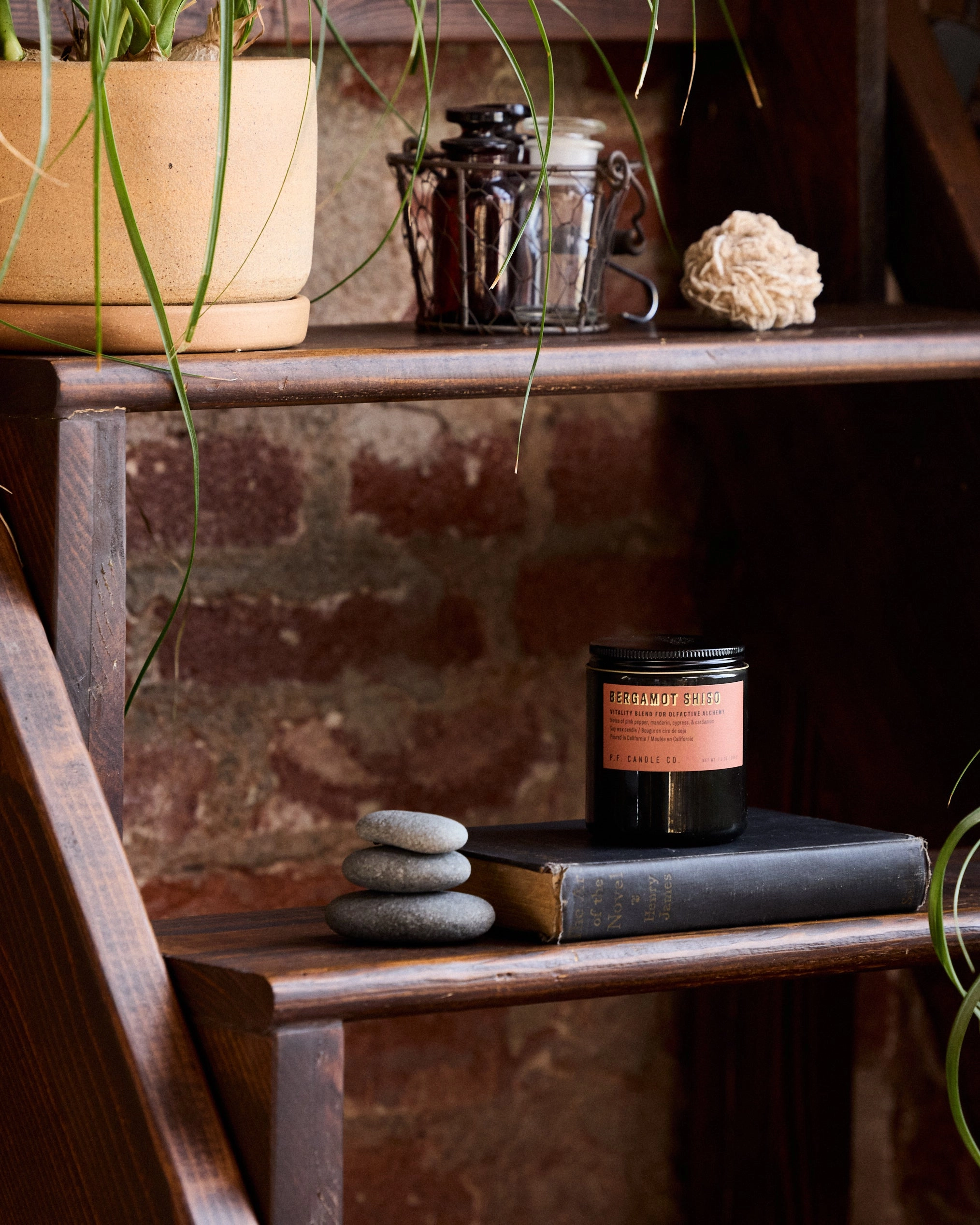 P.F. Candle Co. 7.2oz Alchemy Standard Jar Candle - Bergamot Shiso