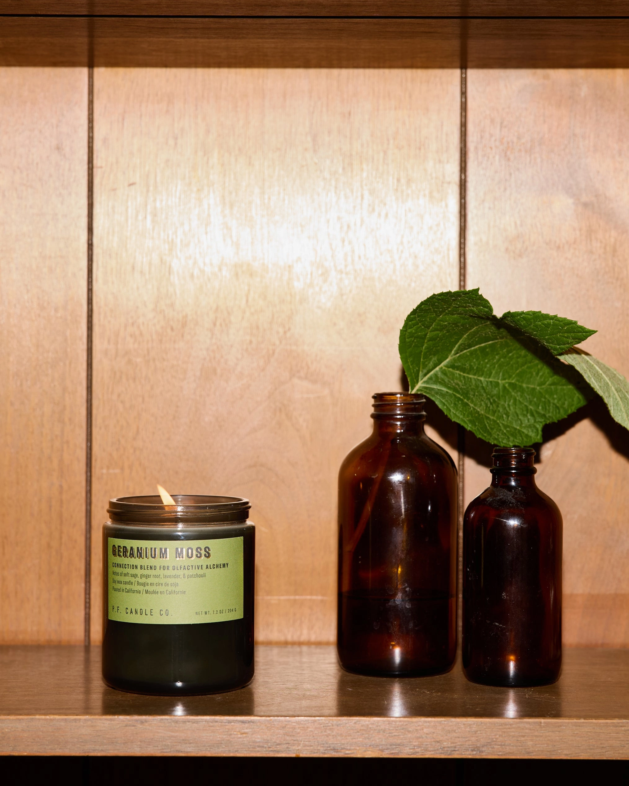 P.F. Candle Co. 7.2oz Alchemy Standard Jar Candle - Geranium Moss