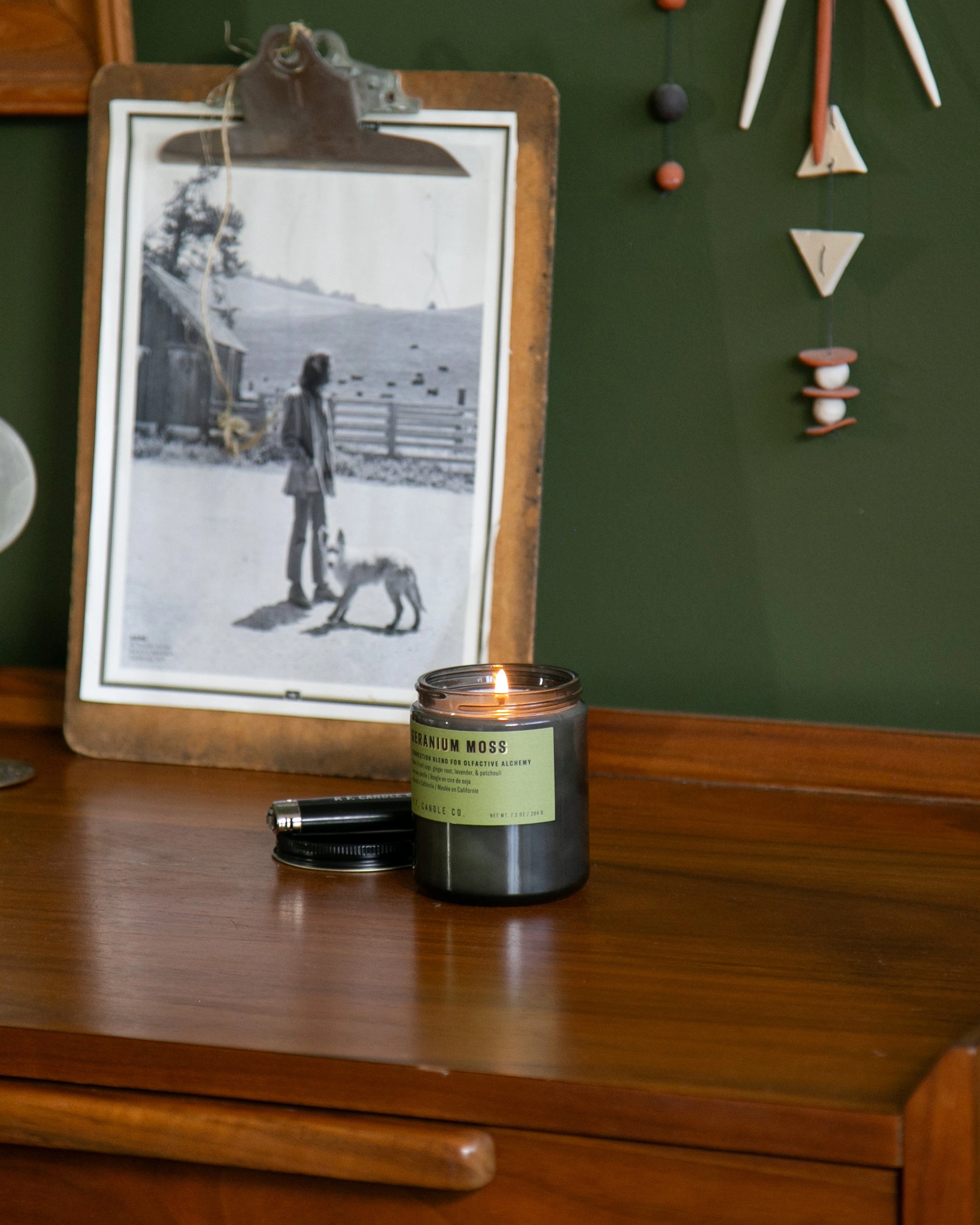 P.F. Candle Co. 7.2oz Alchemy Standard Jar Candle - Geranium Moss