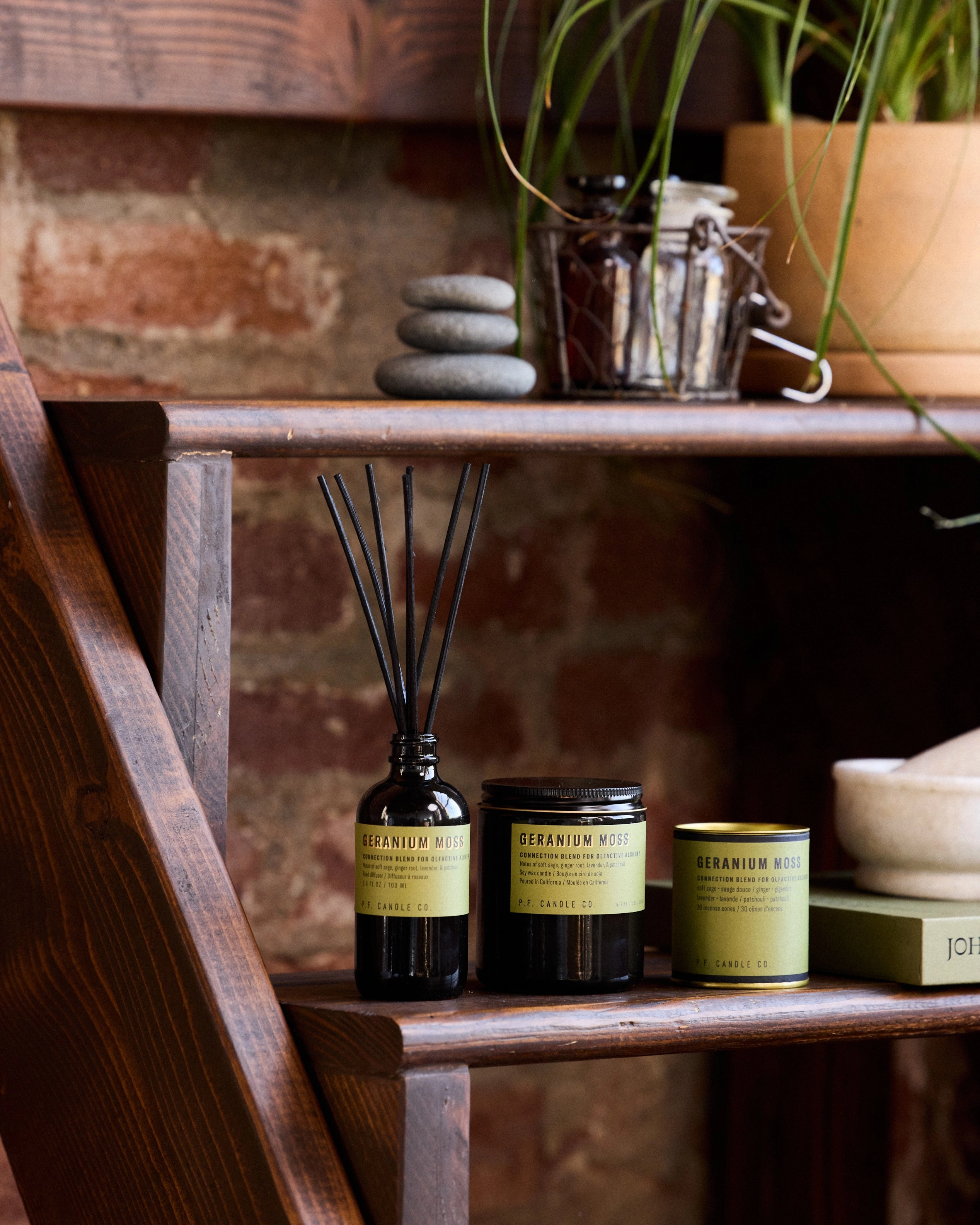 P.F. Candle Co. 7.2oz Alchemy Standard Jar Candle - Geranium Moss