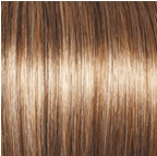 Socialite Wig by Gabor | Synthetic (Lace Front Mono Top)