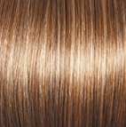 Socialite Wig by Gabor | Synthetic (Lace Front Mono Top)