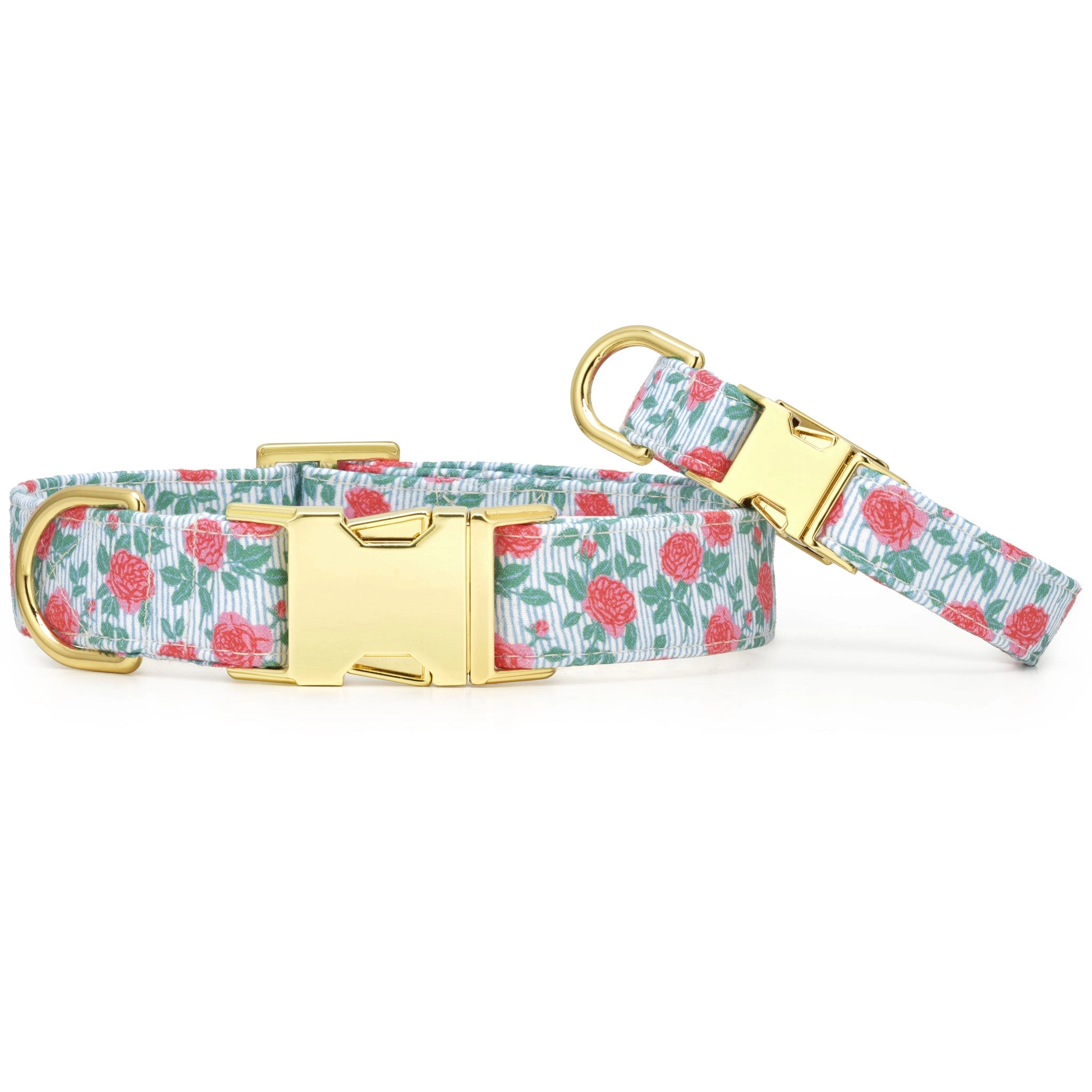 The Foggy Dog Collar - Rain Rose