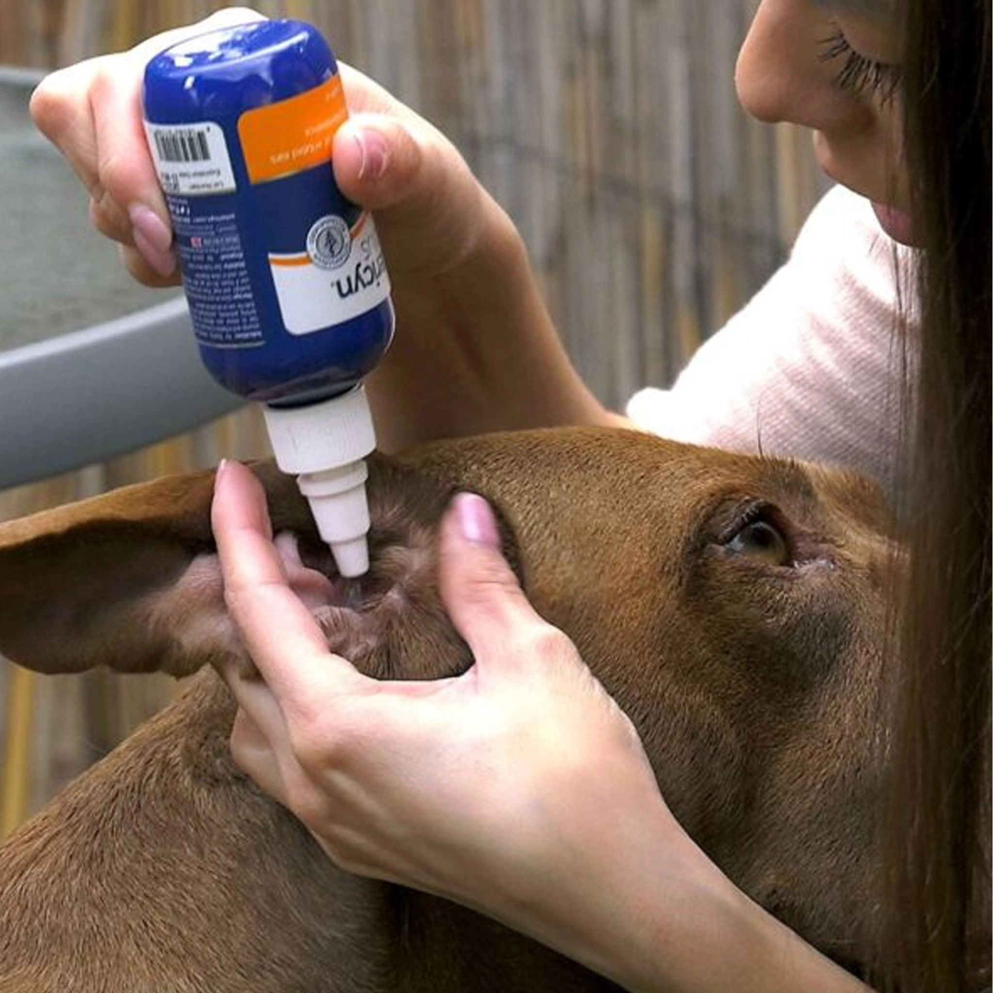 Vetericyn All Animal Ear Rinse - 3 oz