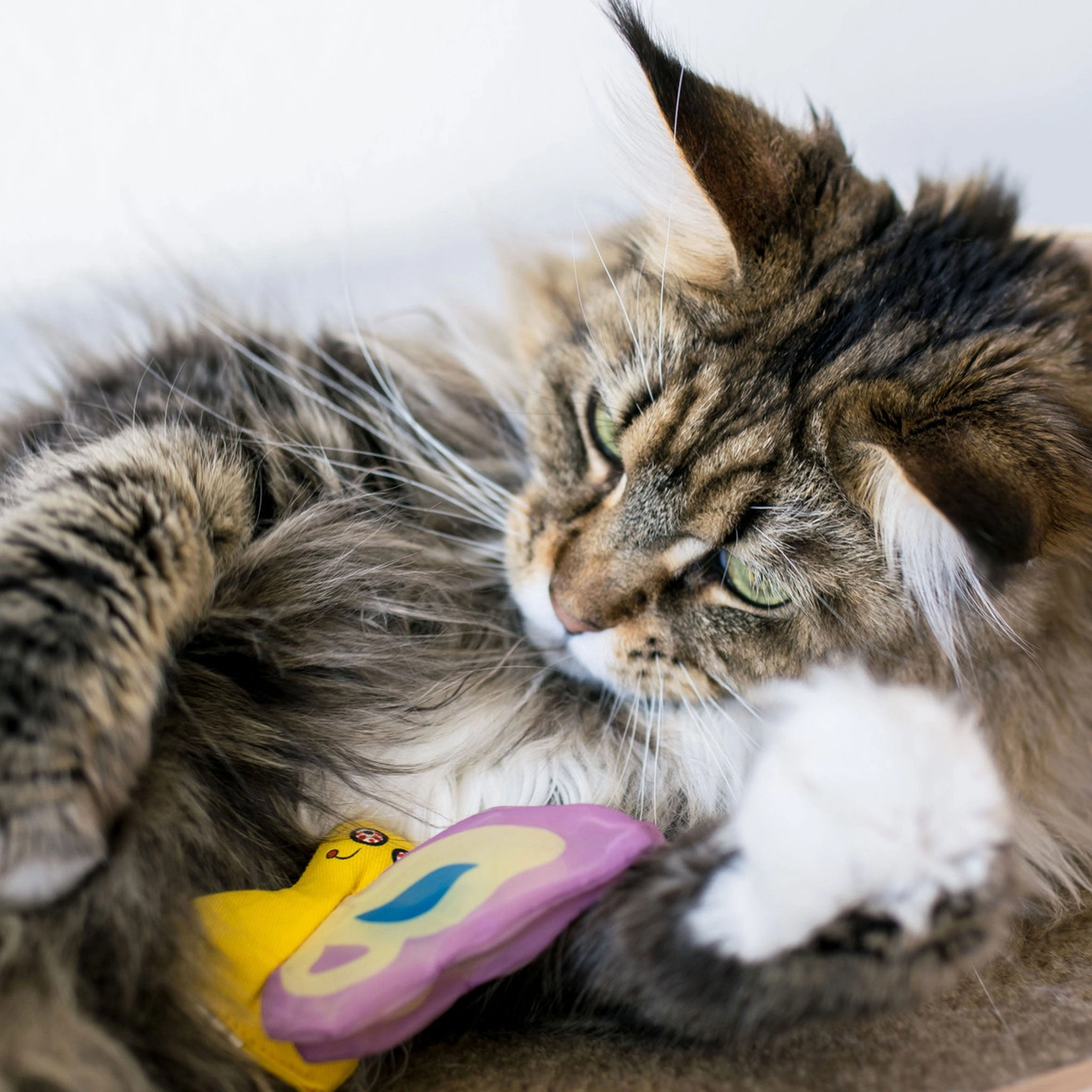 YEOWWW! Butterfly Toy Purple Cat Toys