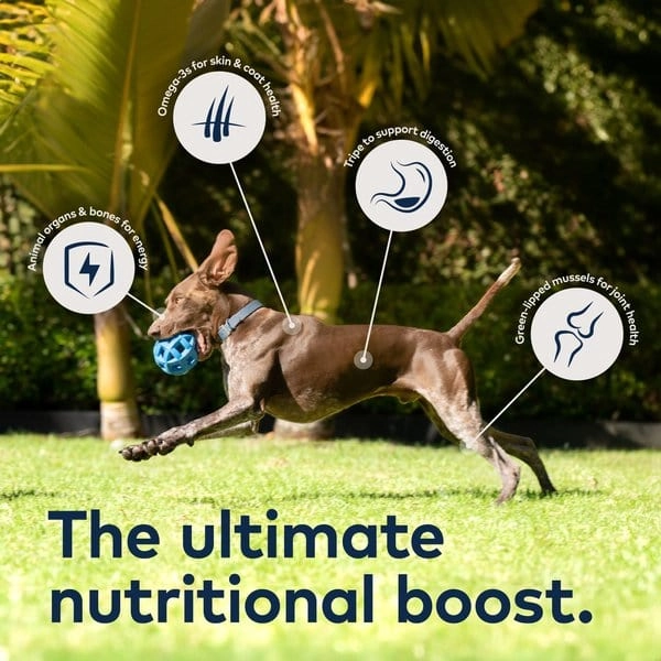 ZIWI Peak Grain Free Venison Recipe Canned Dog Food