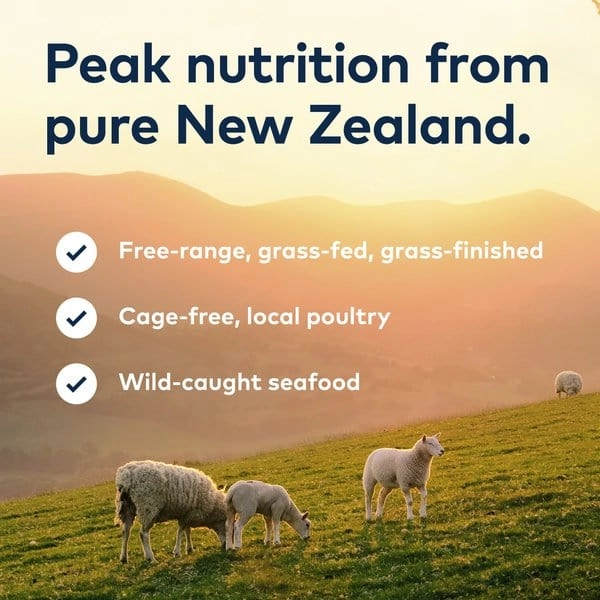 ZIWI Peak Grain Free Venison Recipe Canned Dog Food